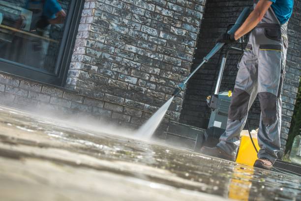 Best Graffiti Removal  in Hauula, HI